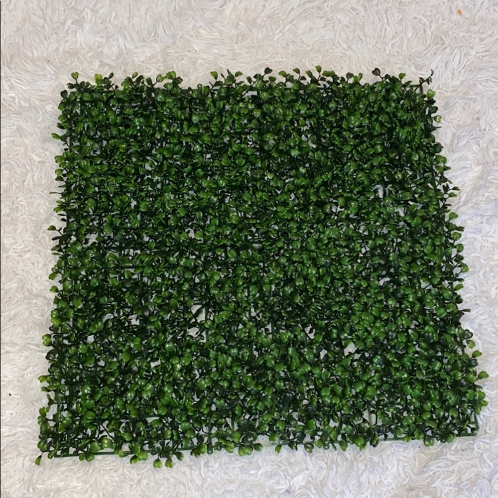 Green Topiary Hedge Plant 19” x 19”